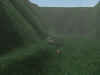 fine albula 2.JPG (77147 byte)